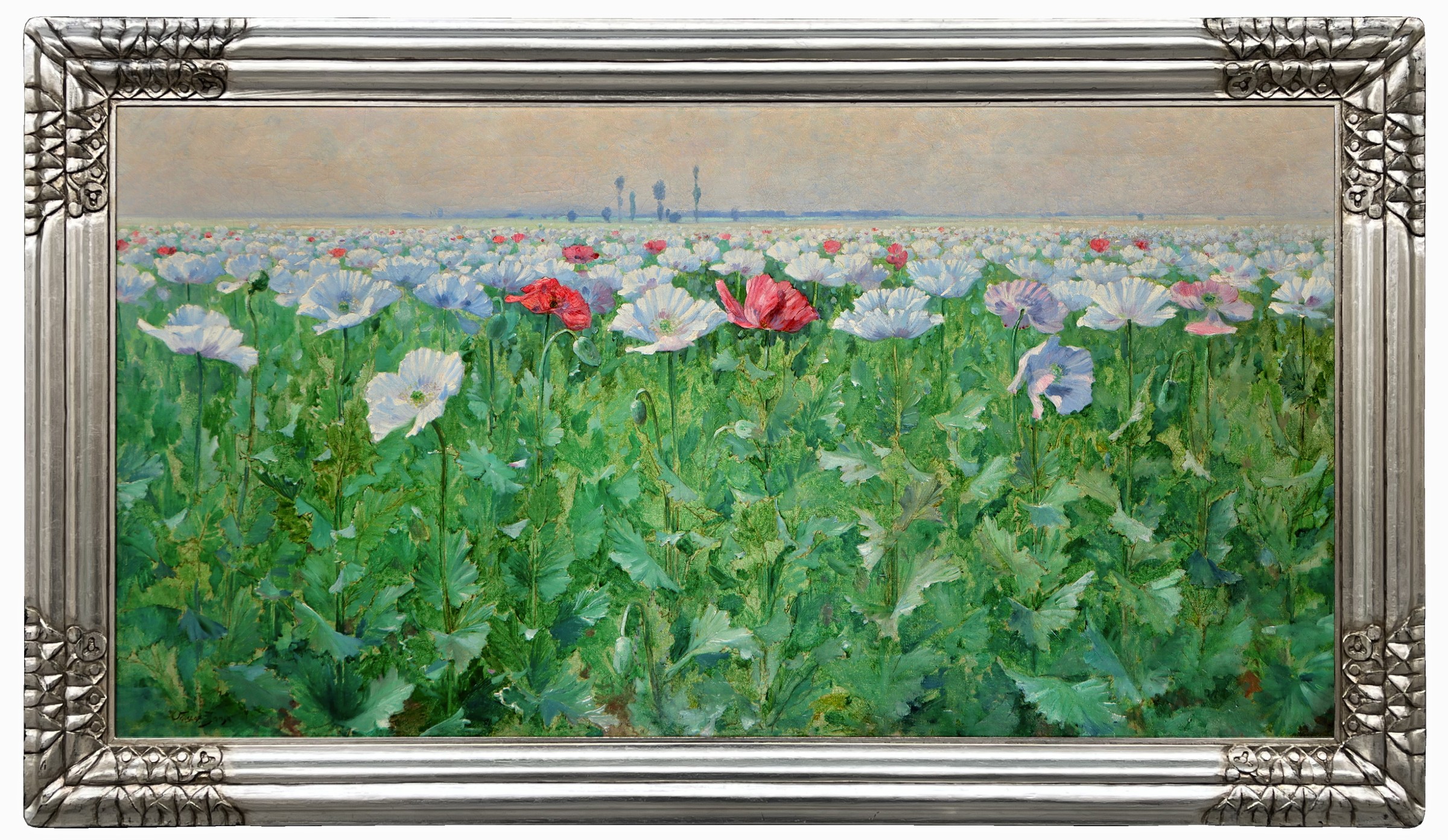 Jansa Václav (1859–1925)